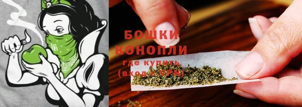 apvp Михайлов