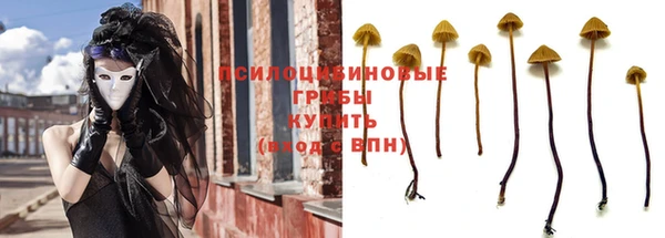 apvp Михайлов