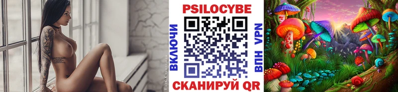 Купить  Сухой Лог  Псилоцибиновые грибы ЛСД 
